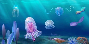 清江生物群打開寒武紀(jì) 新寶藏