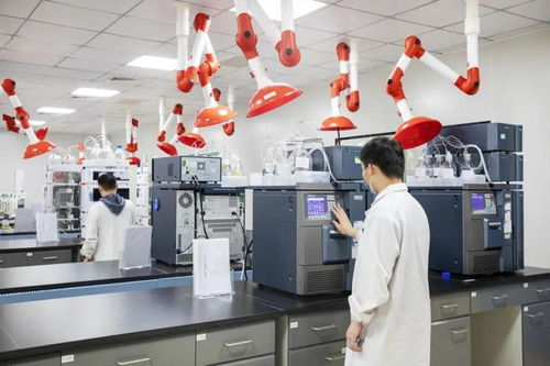 黃陂區(qū)生物產(chǎn)業(yè)招商成果豐碩 德國克諾爾等12個重大項目落戶